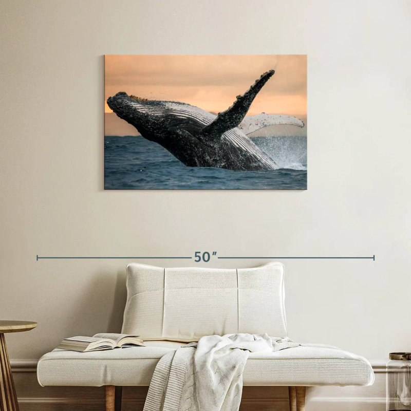 Brampt Humpback Whale Toss, 24" H x 36" W