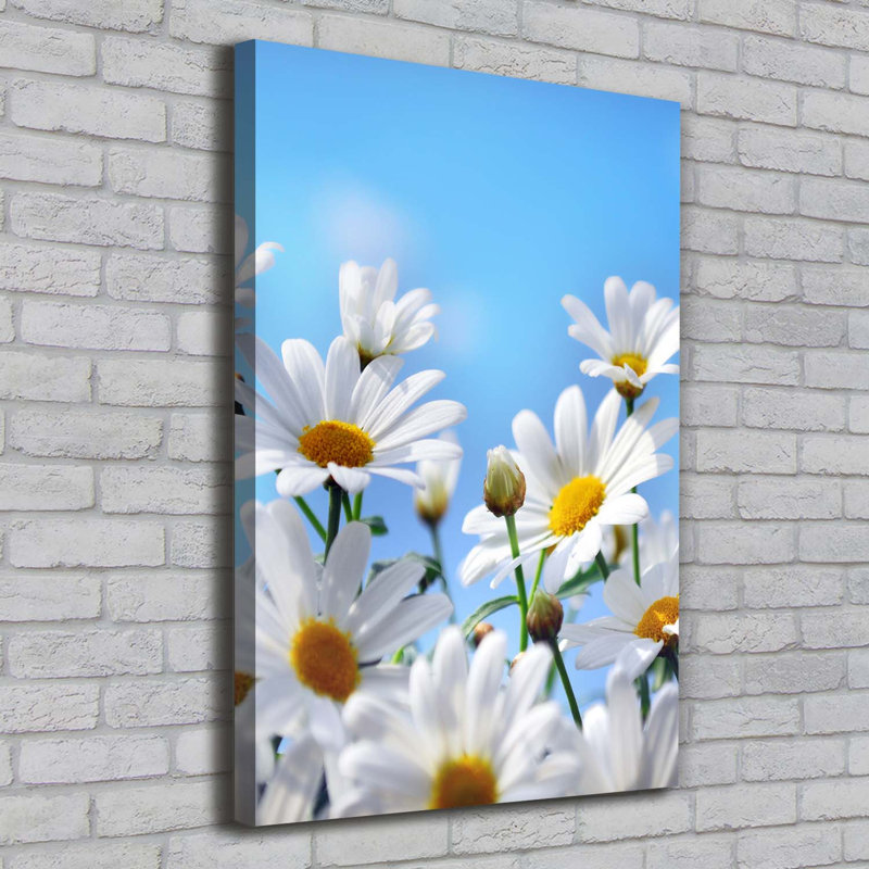 Daisies - Wrapped Canvas Print