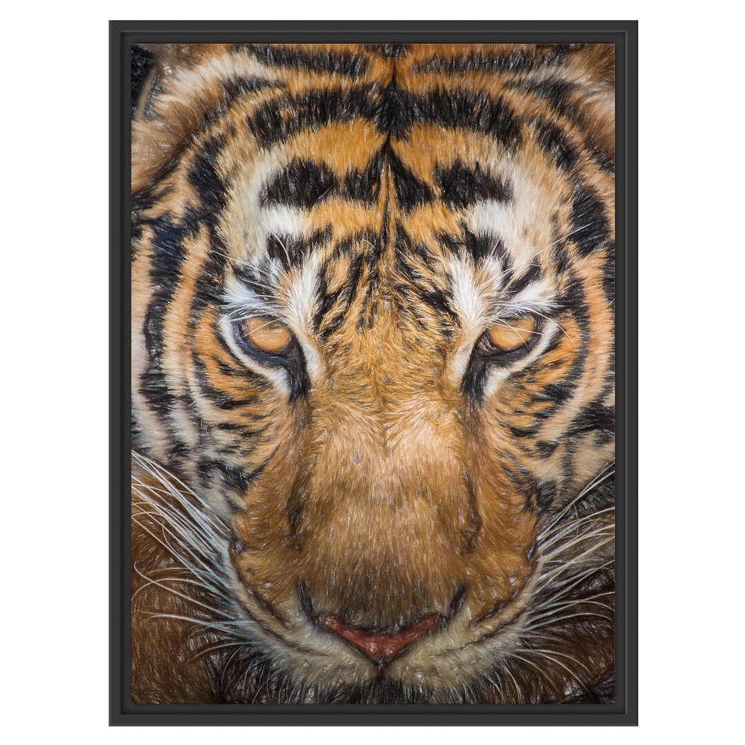 Gerahmtes Wandbild Tiger mit hellbraunen Augen