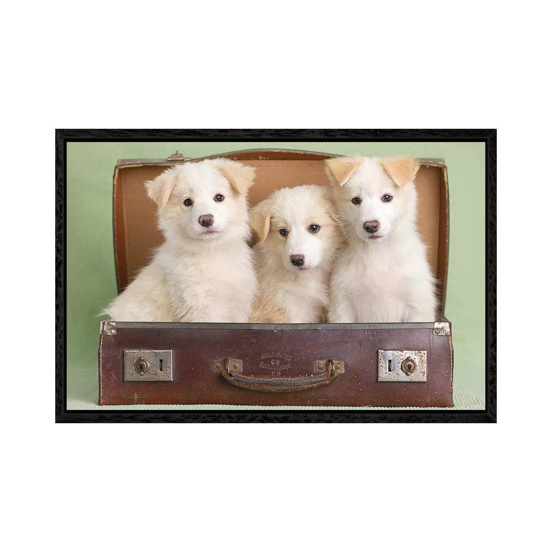 Allie, Tia, And Elka by Rachael Hale - Print on Canvas, Black Framed, 101.6 cm H x 66.04 cm W