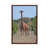 Classic Brown Wood Framed selected