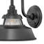 Troyer 1-Light Outdoor Wall Lantern-1995108943-1945962912