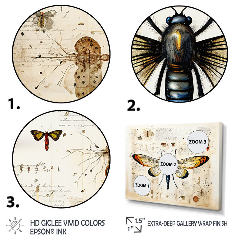 «Beige and Yellow Moth Blueprint - Insectes & Bugs», art mural, H 40 po x l 60 po, Toile tendue