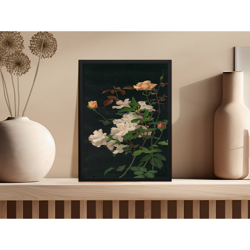 Amata No Frame Print, 6x8