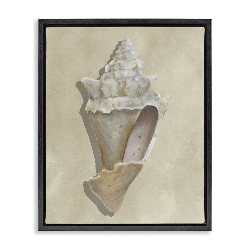 Toile de coquillage brun clair avec toile de coquillage noir, conception par Michael Willett, H 31 po x l 25 po