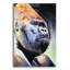 Bungalow rose «Gorilla Silverback» par Dawg Painter, art mural en verre acrylique, 16 po x 24 po-582527283