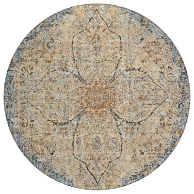 Machine Washable Indoor/Outdoor Colman ACN2136 Global Rug