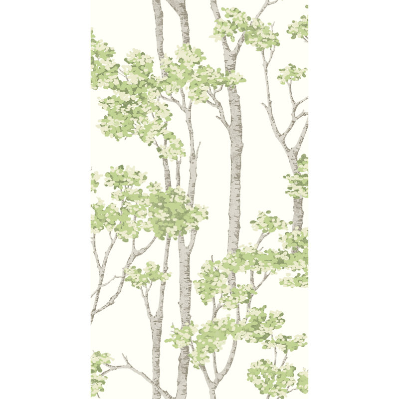 Rouleau de papier peint adhésif L 18 pi x l 20,5 po, Vert