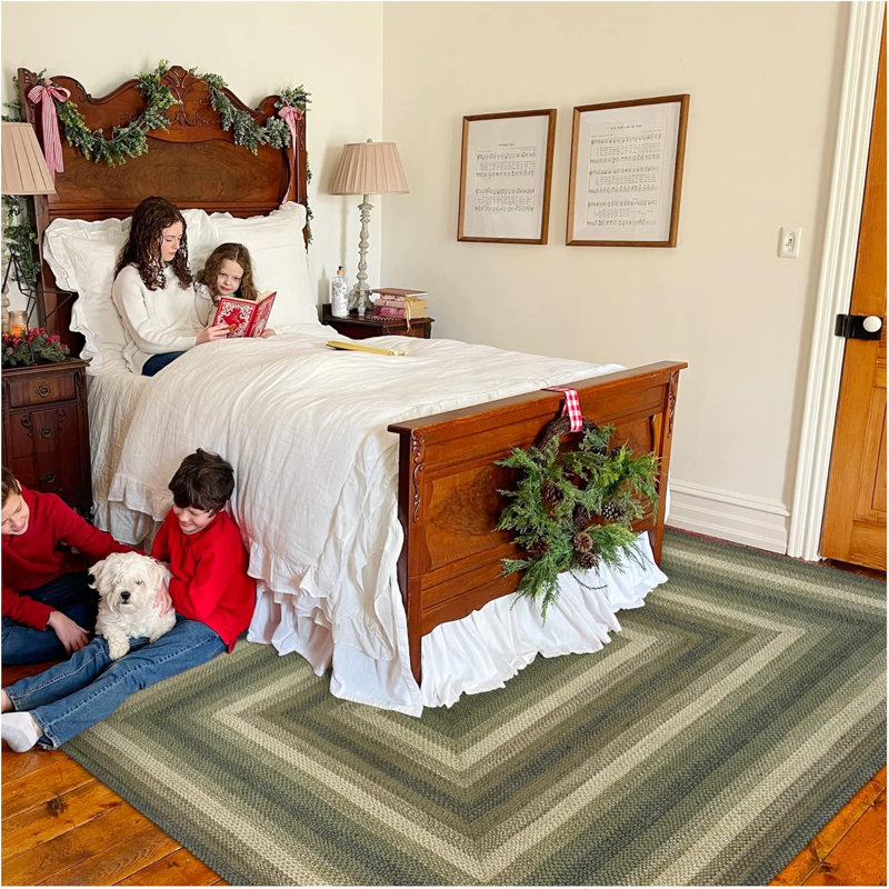 Damiesha Braided Jute Non Shedding Reversible Primitive Green Rug, Rectangle 4' x 6'