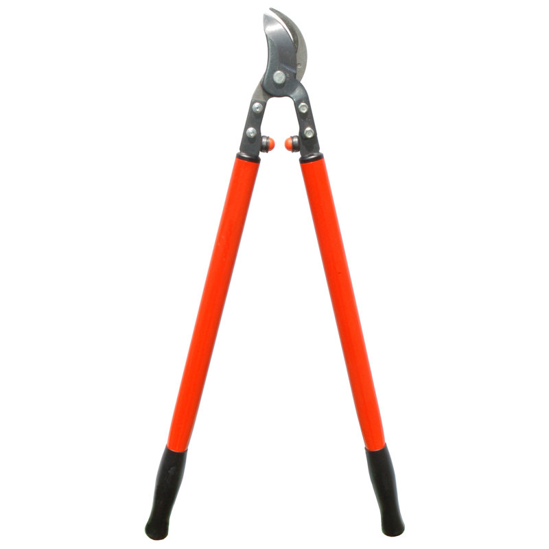 Loppers de plantation professionnelle et d’arbre paysage, H 27,45 po x l 9,45 po x P 1,12 po