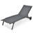 Jesley Outdoor Metal Chaise Lounge Set