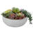 4.8'' Faux Succulent