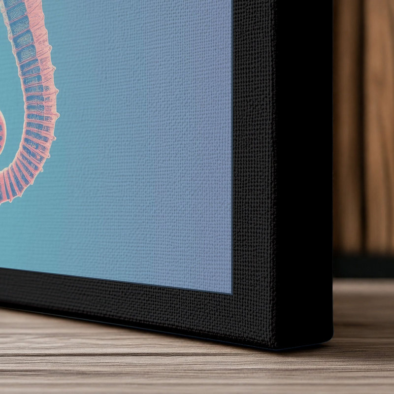 Seahorse Elegance Coastal - Wrapped Canvas, 36x24 - 91.4 x 61.0 cm, Black Border
