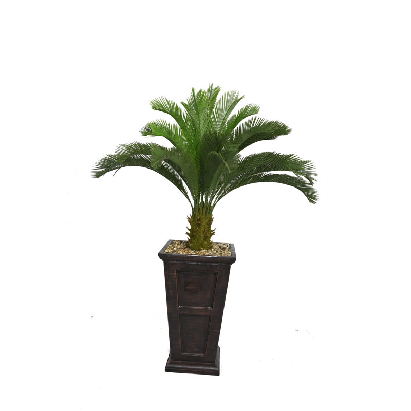 Grand palmier Panama Cycas en pot, Noir / Bronze