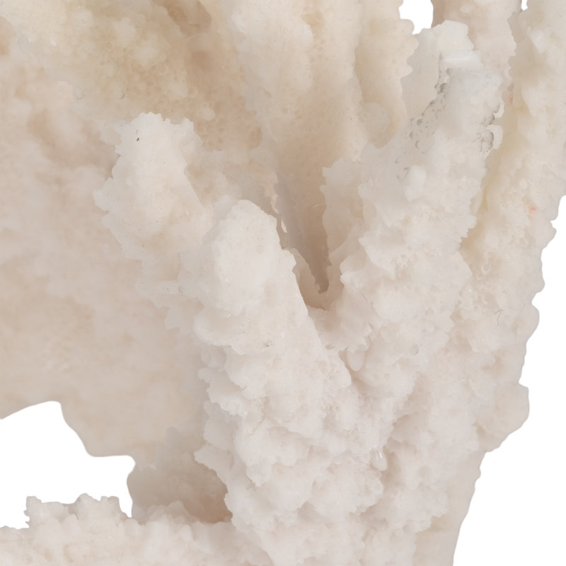 Figurine Resin Polyresin Coastal Sculpture With Organic Structure And Natural Coral-Inspired Design For Decorative Tabletop Or Shelf Display Handcrafted Accent In Maritime-Inspired Style