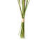 Fabric Arrangement