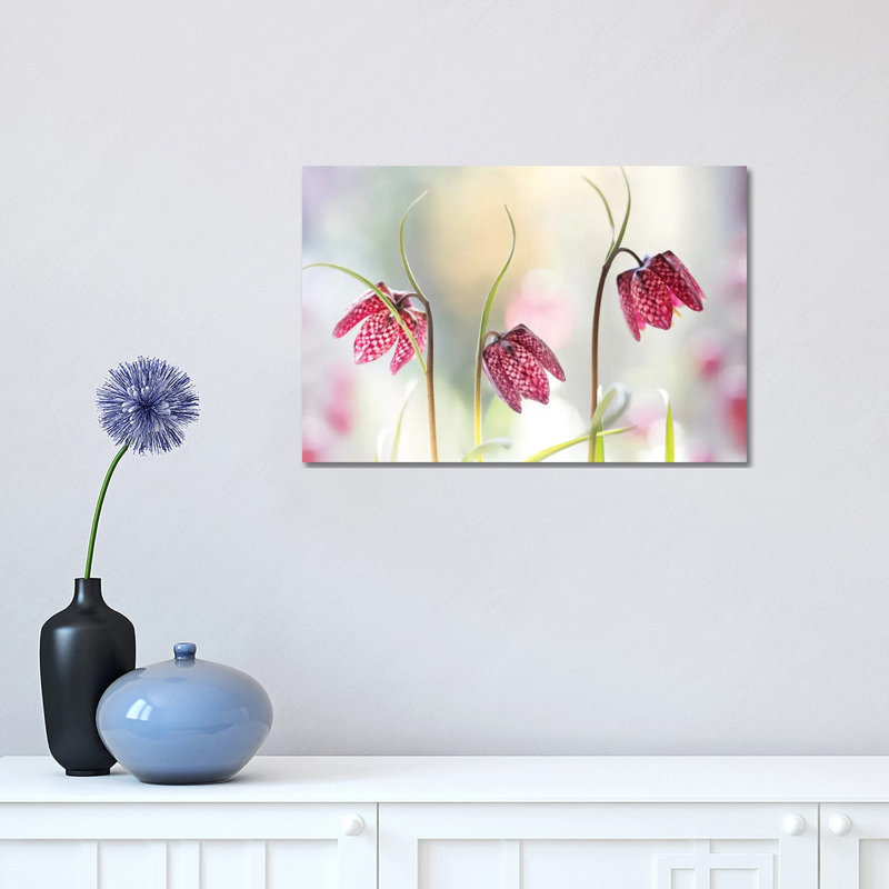 Snakes Head Fritillary by Mandy Disher - Wrapped Canvas Print, 30.48 cm H x 45.72 cm W
