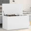 Meuble de rangement vidaXL-366182320-366182312