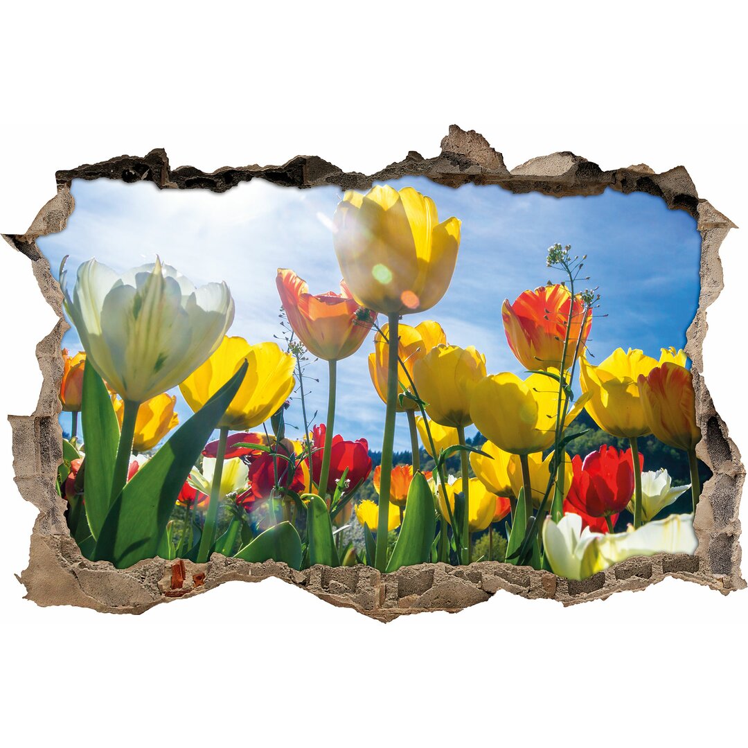 Wandtattoo Bunte Tulpenwiese Froschperspektive