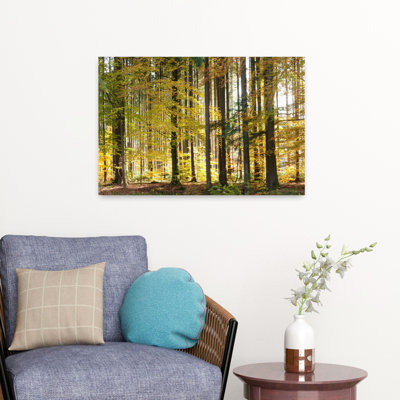 Trees In Autumn Hohenlohe Baden-Wurttemberg Germany Abstract Contemporary Forest Landscape Art