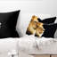 Coussin lombaire de lion large africain