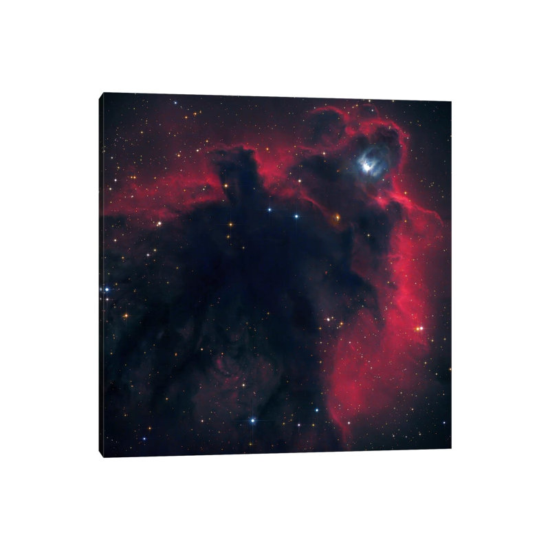 Cometary Globule In Orion (LDN 1622) by Robert Gendler - Wrapped Canvas Print, 30.48 cm H x 30.48 cm W