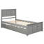 Lit plateforme simple avec lit gigogne gris amovible - Fabriqué en bois massif-598739467
