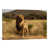 Wrapped Canvas is unavailable