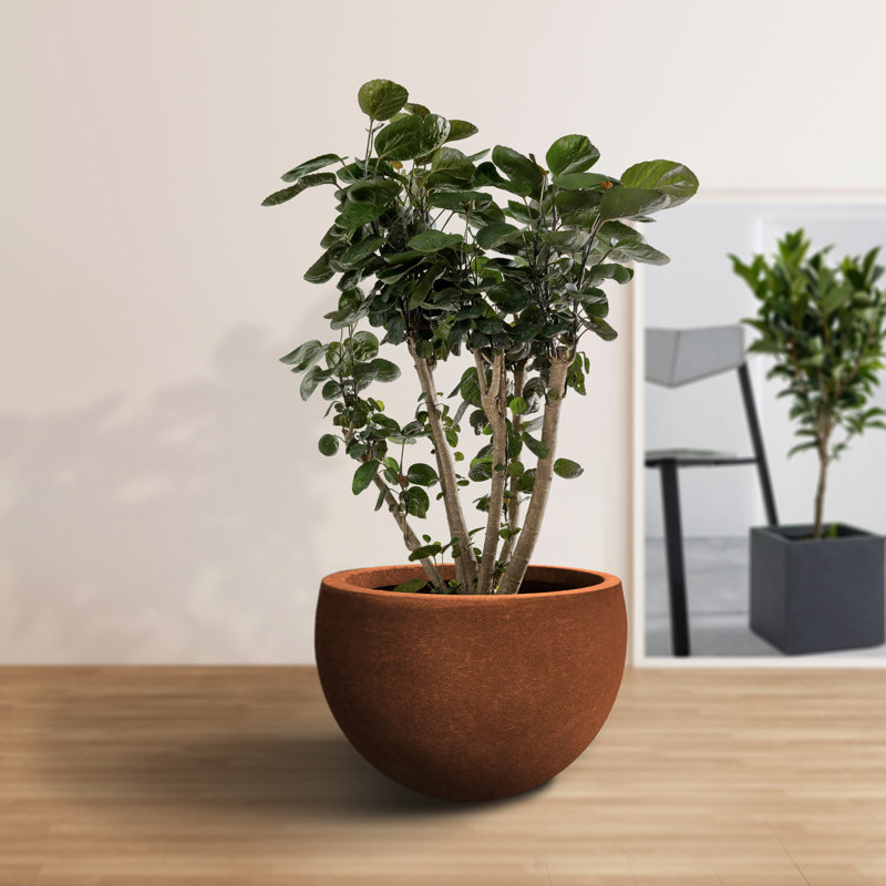Sifan Pot Planter