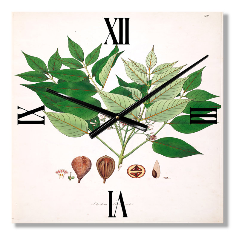 Horloge murale Plant Life, Très grand