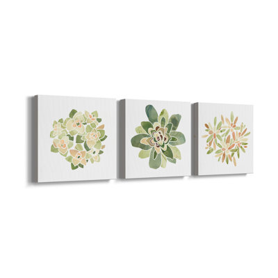«Succulent Cameo», ensemble de 3 toiles tendues