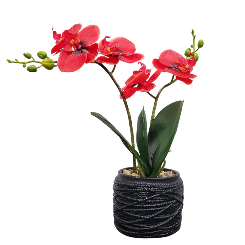 Polyresin Orchid Bliss - Lifelike Planter, Pink, Black
