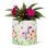 Moriarty Clay Indoor / Outdoor Cachepot