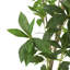 ARBRE À PIERIS 120CMTIFTIFS-1859716857
