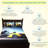 Car printed Bedsheet set 4 pc Full size