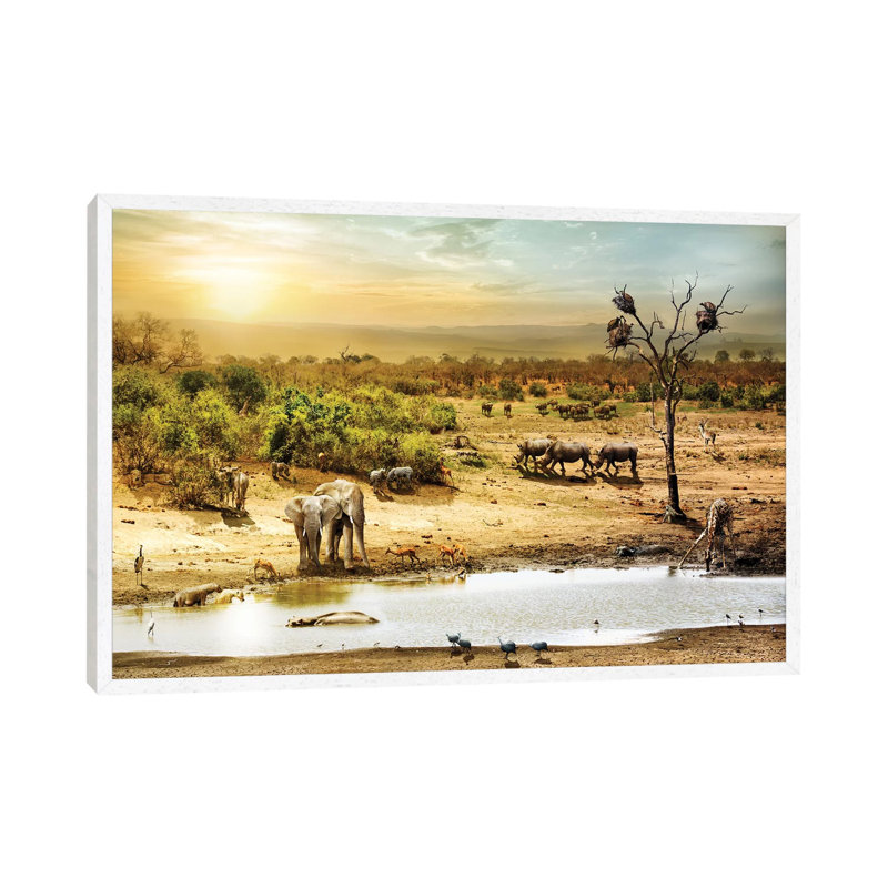 South African Safari Wildlife Fantasy Scene II by Susan Schmitz - Print on Canvas, 66.04cm H x 101.6cm W x 3.81cm D