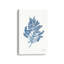 Impression sur toile Nature's Lace-100534767-100811713