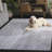 Nylo Performance Abstract Rug-658892024