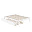 Aayanna Solid Wood Sturdy Platform Bed with Guest Trundle-447822416-448667738