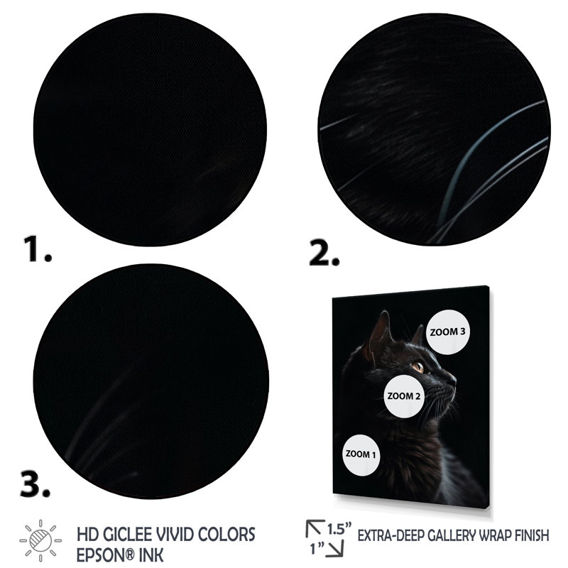 Portrait d'un chat noir, photographie, Cadre naturel flottant, H 40 po x l 30 po x P 1,5 po