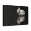Art mural sur toile avec cygne blanc-1560242992