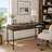 Botolph Desk