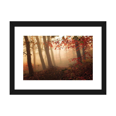 Vers la lumière par Leif Londal - reproduction de photo