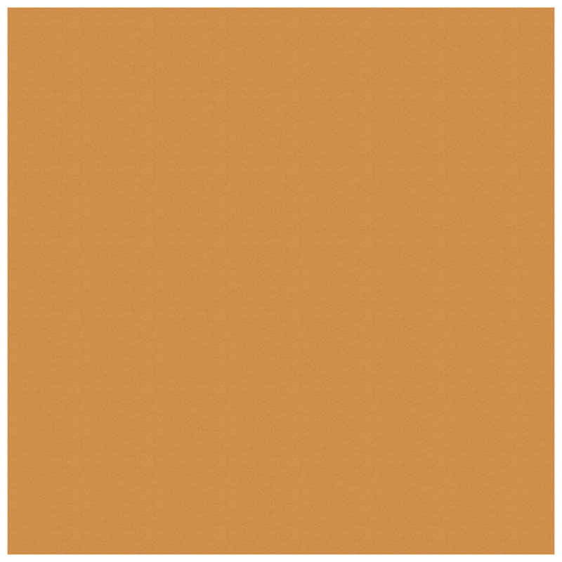 Wood Matte Picture Frame with Mat, Amber