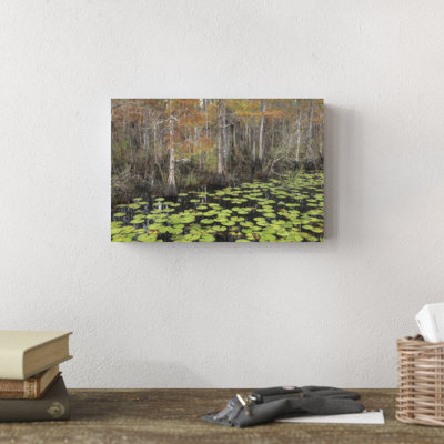 " Bayou Autumn " by Danny Head