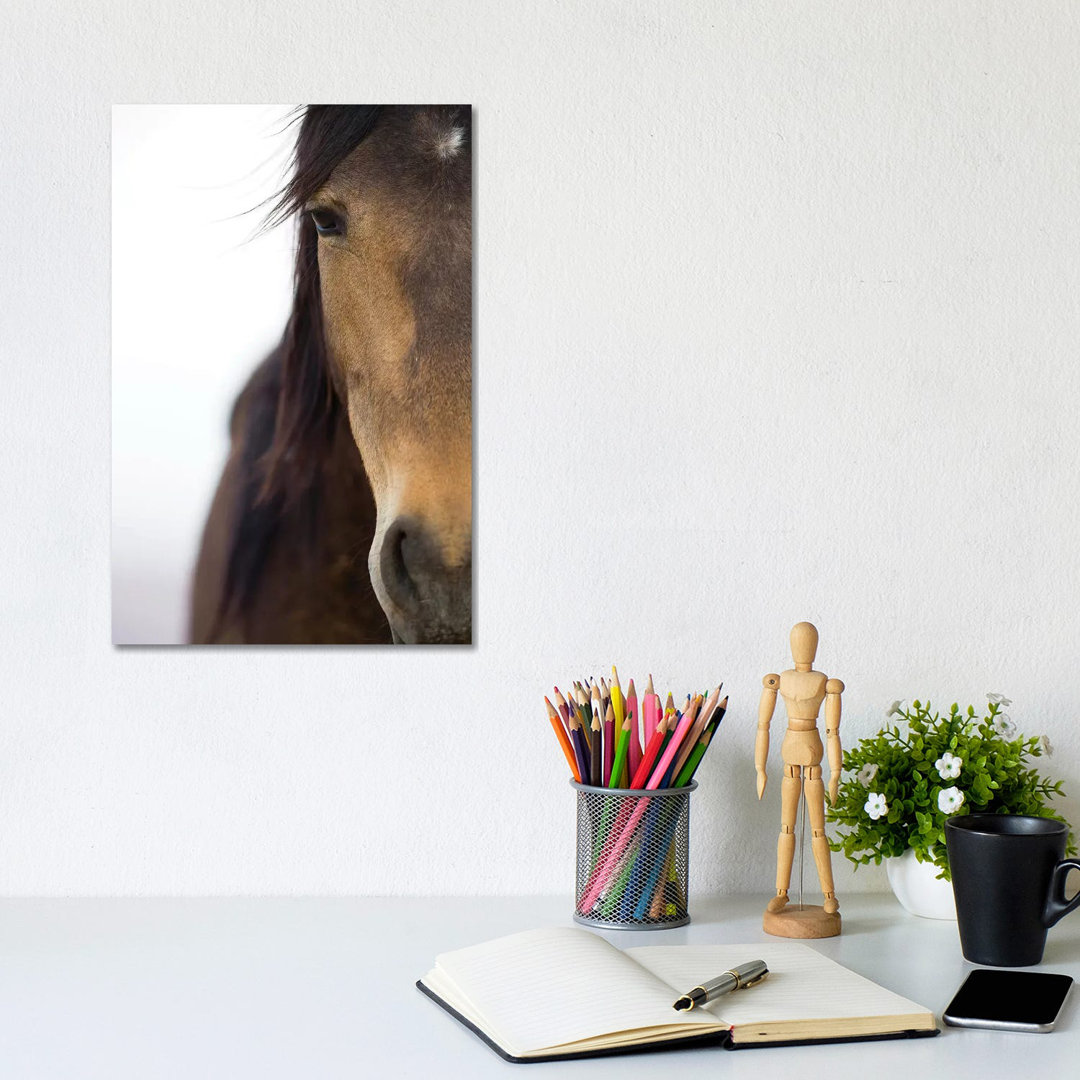 Namib Desert Horse, Namib-Naukluft National Park, Namibia by Cyril Ruoso - Wrapped Canvas Print