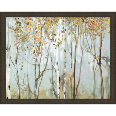 " Birch In The Fog !! "