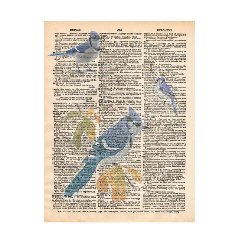 Marcus Jules Blue Jay Canvas Art, 14" H x 19" W