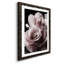 Rose noire II - photographie-1227621812-1227621808