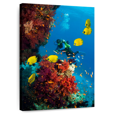 Senne Deep Sea Scuba Diving